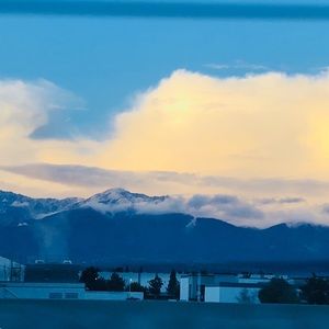 Meet your Posher, Janie